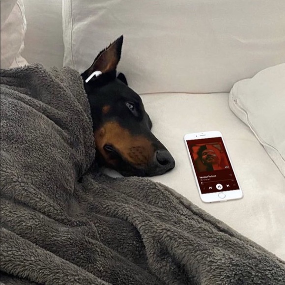 Meet your Posher, J - Picture 1 of 1